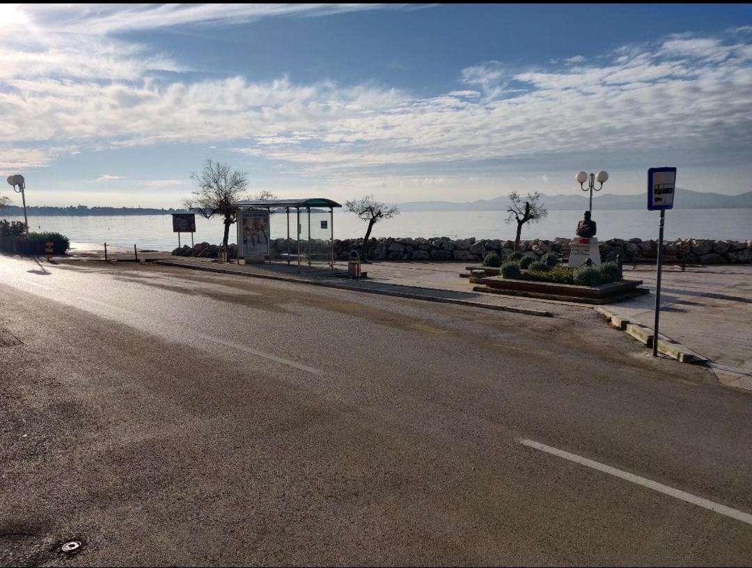 Apartment Milin By The Sea-Zadar-Diklo 외부 사진