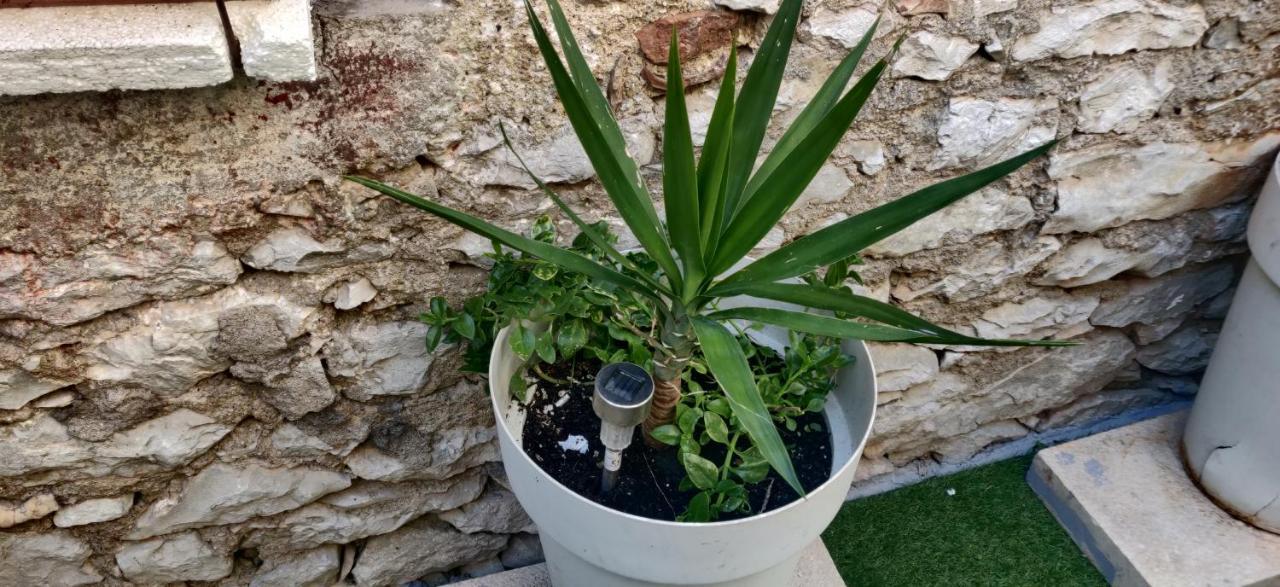 Apartment Milin By The Sea-Zadar-Diklo 외부 사진